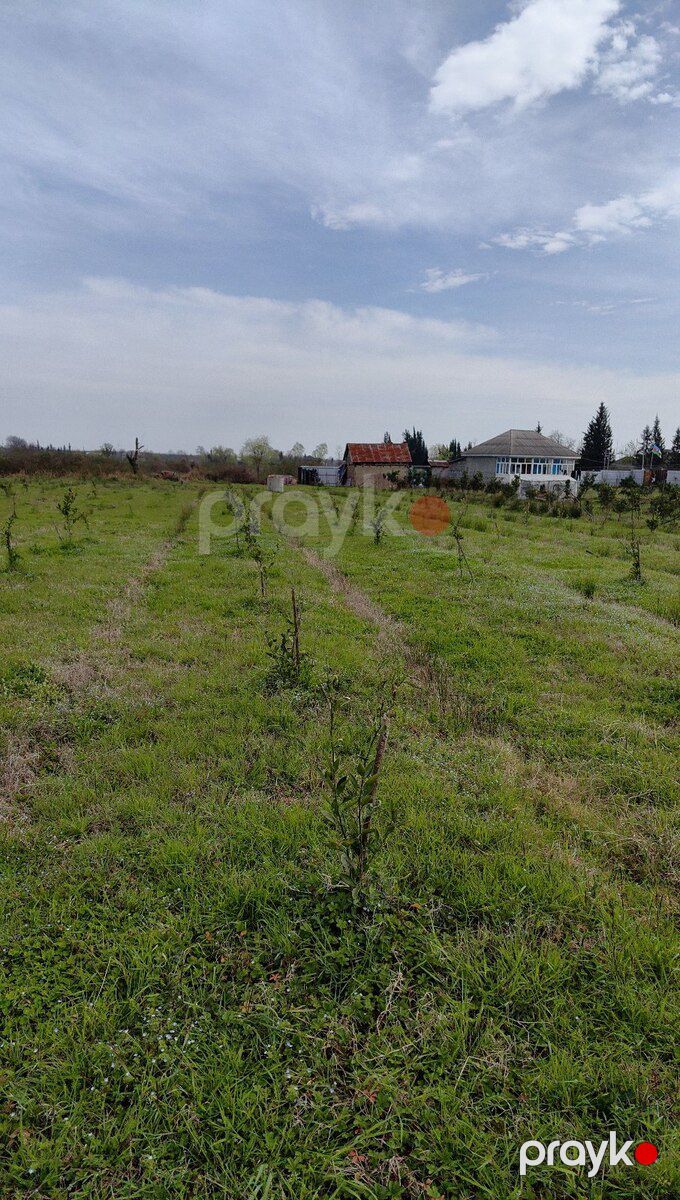 20 sot torpaq sahəsi, Astara r — Torpaq, Astara (3)