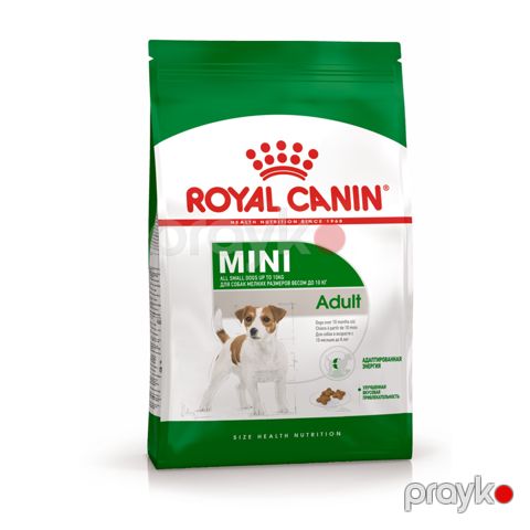 Quru yem Royal Canin Mini Adult, kiçik cins yetkin itlər üçün, 1 kq — Bakı
