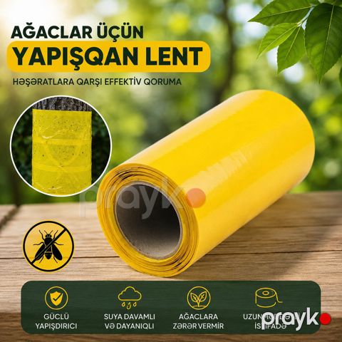 Ağaclar üçün həşərat əleyhinə yapışqan lent plastik — Bakı