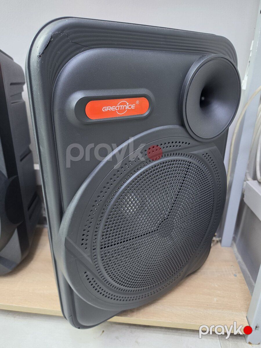Bluetooth mikrofonlu dinamik 1×15" — Səs texnikası, Bakı (2)