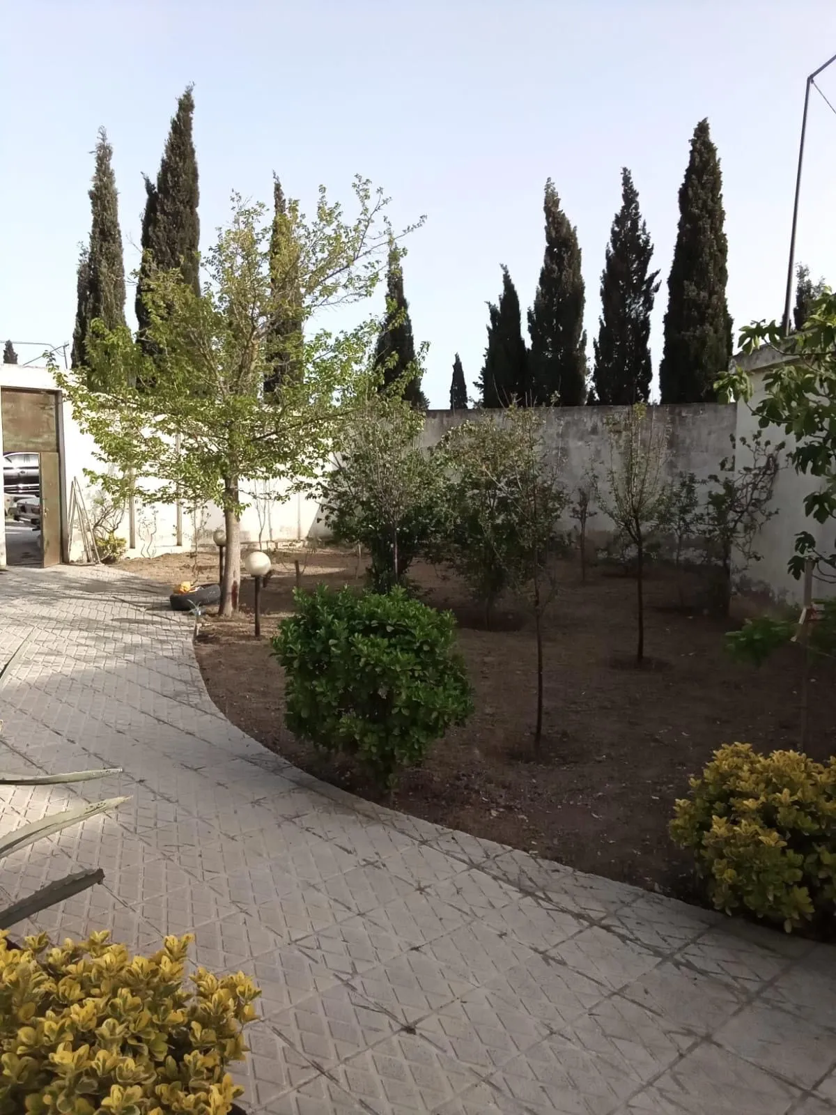 Qala, Çoxməqsədli biznes satılır - 400 m², 9 sot — Əmlak, Bakı (3)