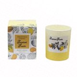 Şam tropik meyvə ətirli 24SAAT — Omid.az — Home products