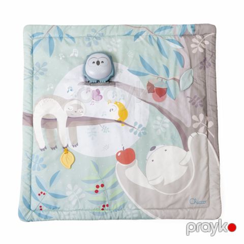 Oyun xalçası Chicco Bayquş 2-si 1-də, 80x80x3 sm — Bakı