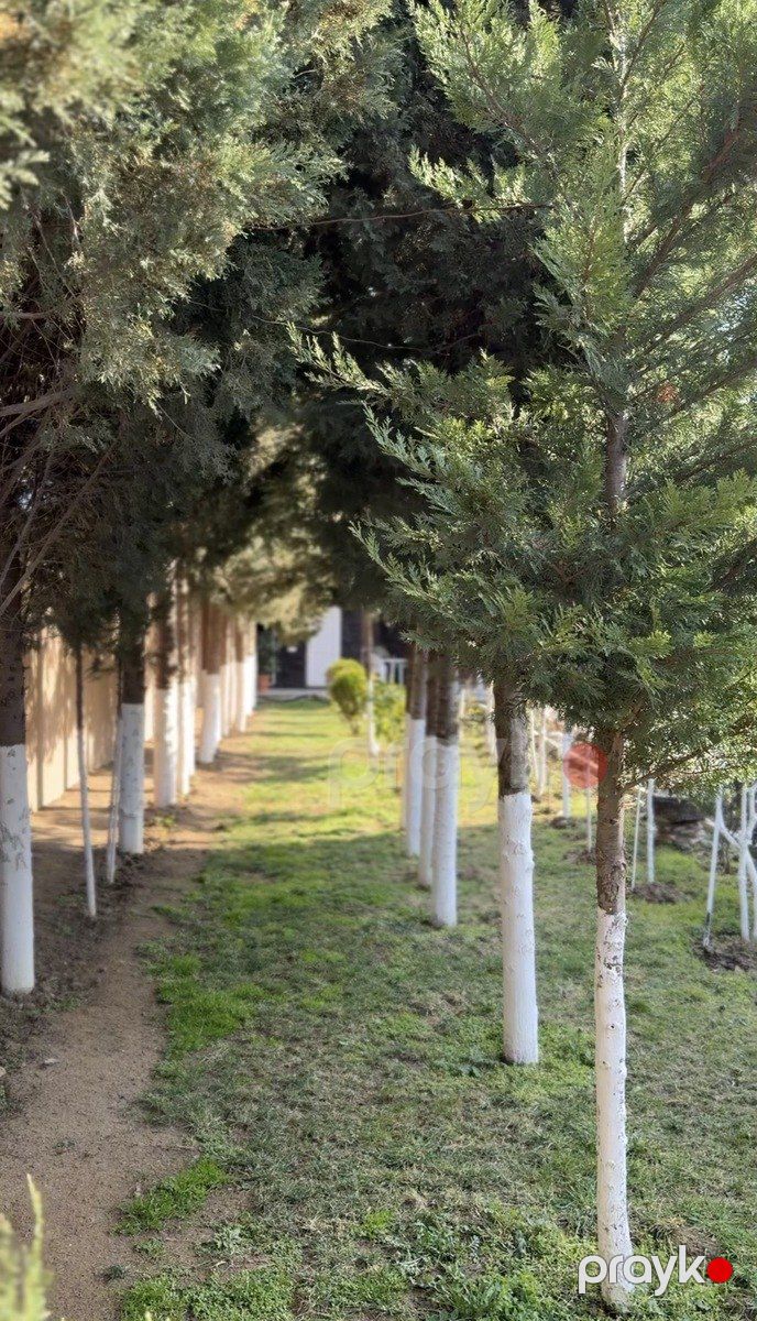 Satılır 9 otaqlı həyət evi/bağ evi 600 m² — Ev, villa, Bakı (8)