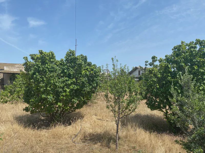Sotiladi: участок, 13 sotix — Torpaq, Bakı (5)