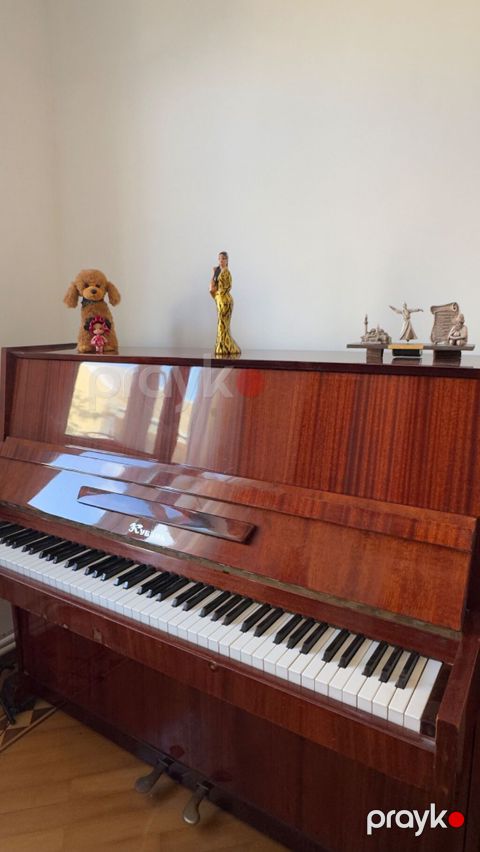 Piano, Kuban, Akustik, İşlənmiş, Ünvandan götürmə — Bakı