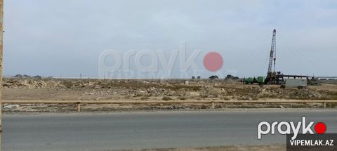 Binəqədi rayonunda 1 otaqlı Torpaq Satılır, 145 sot — Bakı