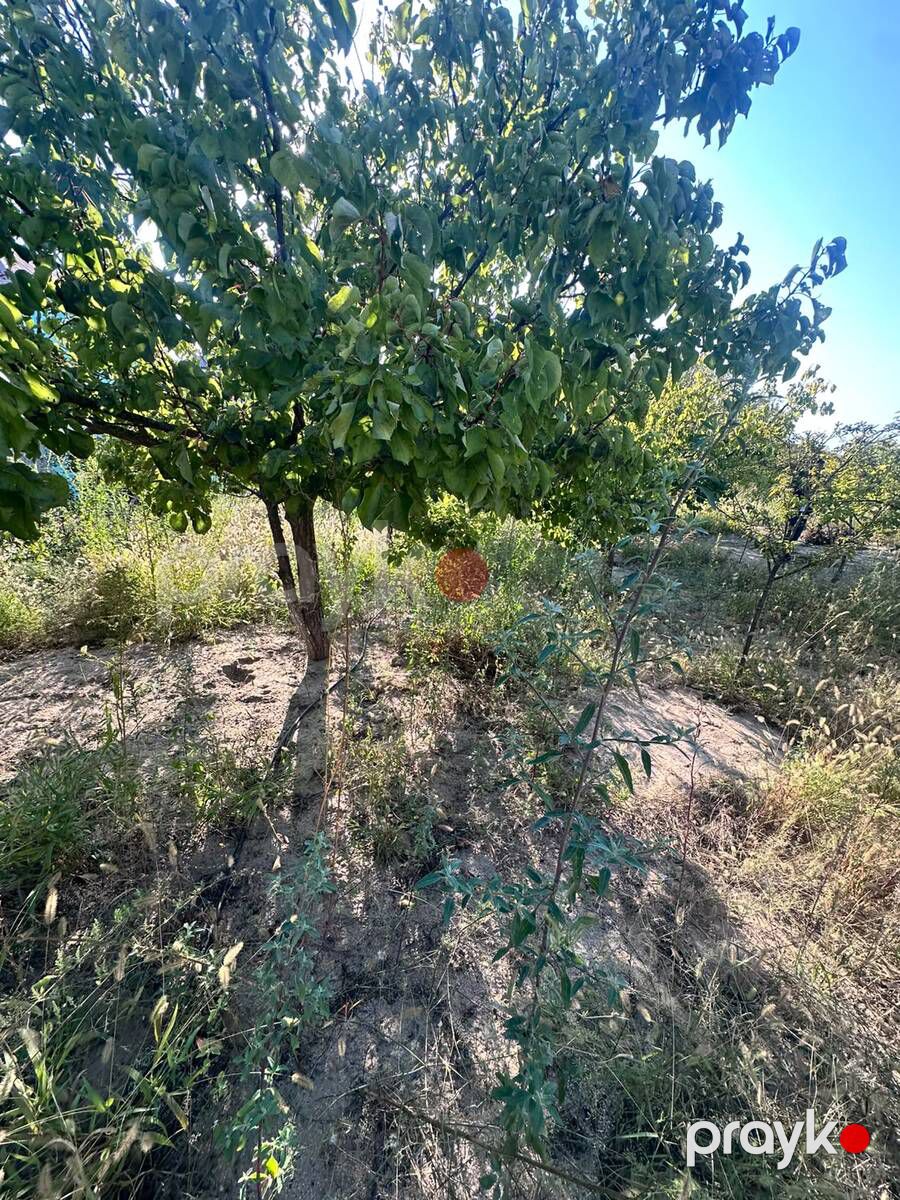 4 sot torpaq sahəsi, Novxanı bağları — Torpaq, Bakı (5)