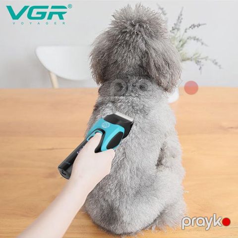 İt pişik qırxan "VGR 208" — Bakı
