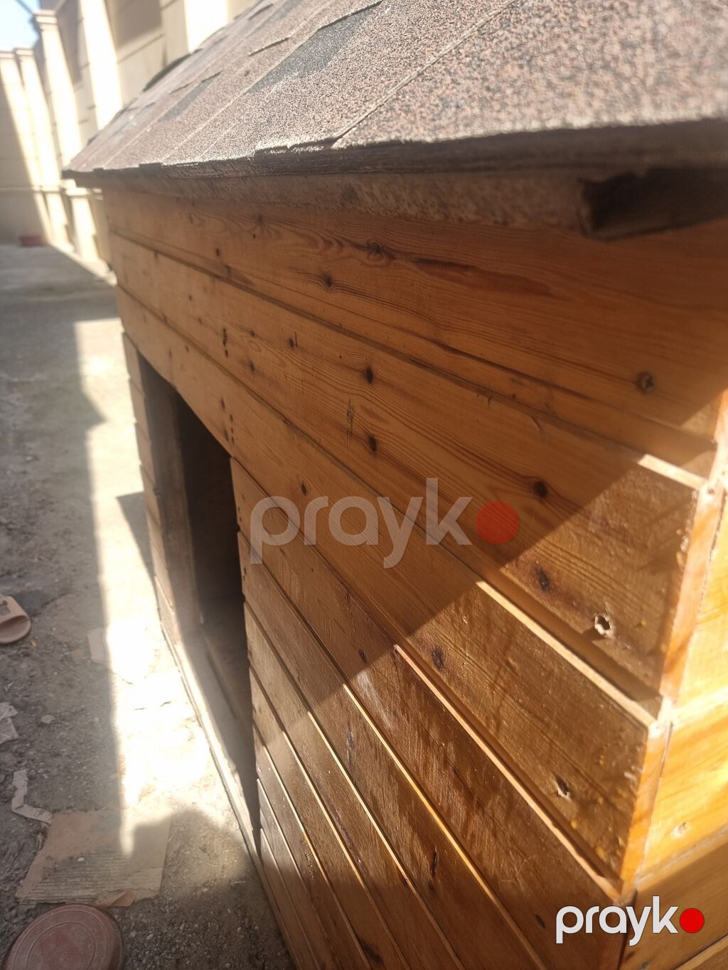 Taxta it evi - Material: təbii taxta panellər, möhkəm karkas - Dam — Kunalar, Bakı (4)