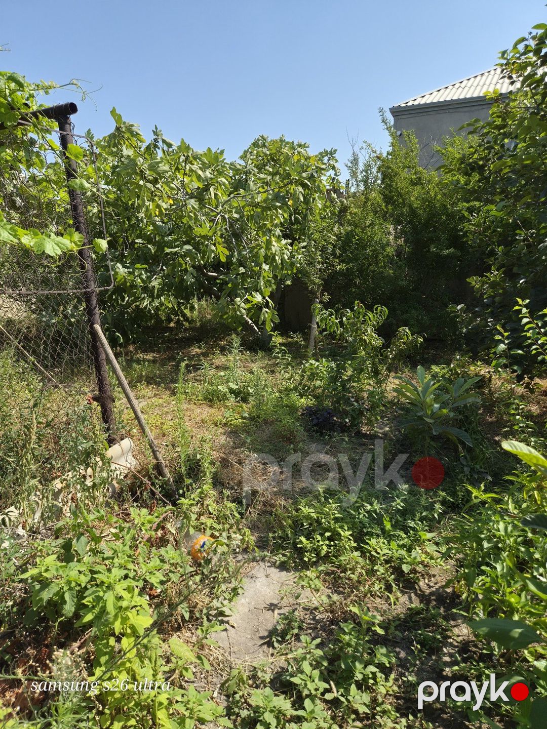 Satılır torpaq 4.5 sot — Torpaq, Sumqayıt (4)