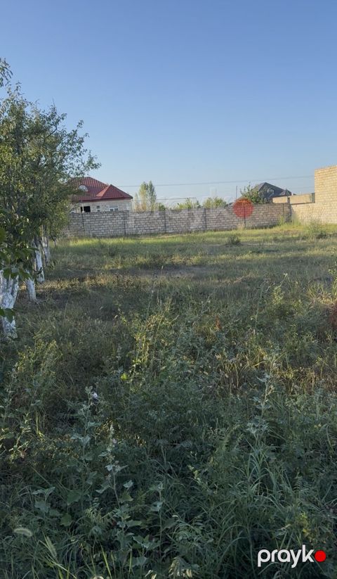 12 sot, Kənd təsərrüfatı, Maklerlər narahat etməsin, Bələdiyyə — Zərdab