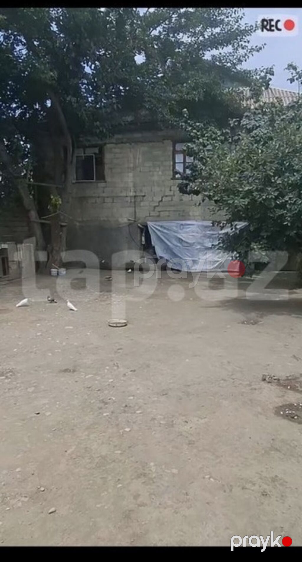 4 otaqlı, 160 kv. m — Ev, villa, Yevlax (2)