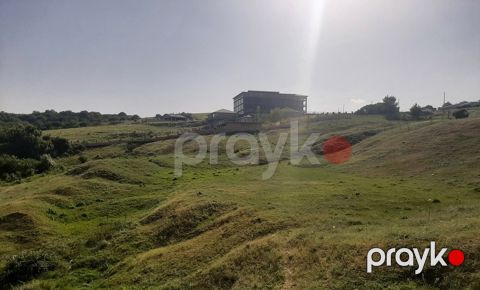 1100 sot torpaq sahəsi, Şamaxı ş — Şamaxı