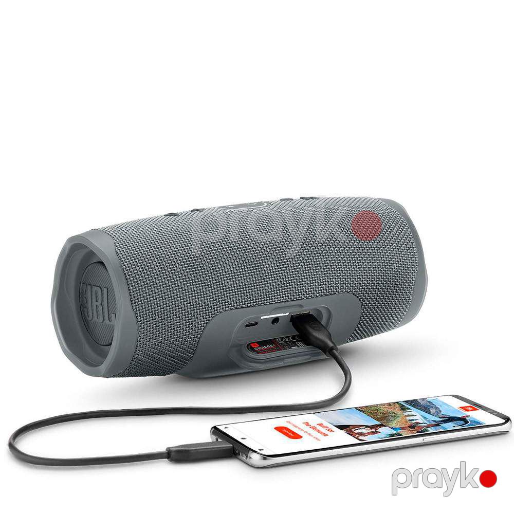 Portativ səsgücləndirici JBL Charge 4 Grey — Akustik sistemlər, Bakı (5)