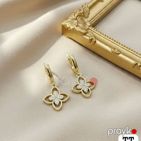 Sırğa qadınlar üçün Love-9376, polad — Bakı