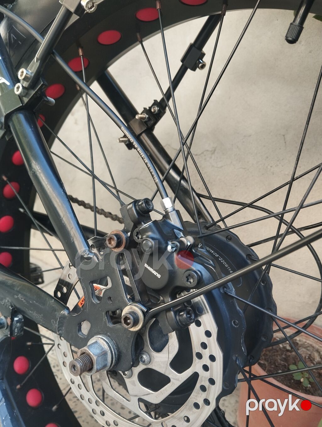 Tormuzlar Jitqizdi yeni qoyulub Trosla deyil Prablem yoxtu Herşey — Elektrik velosipedləri, Bakı (5)