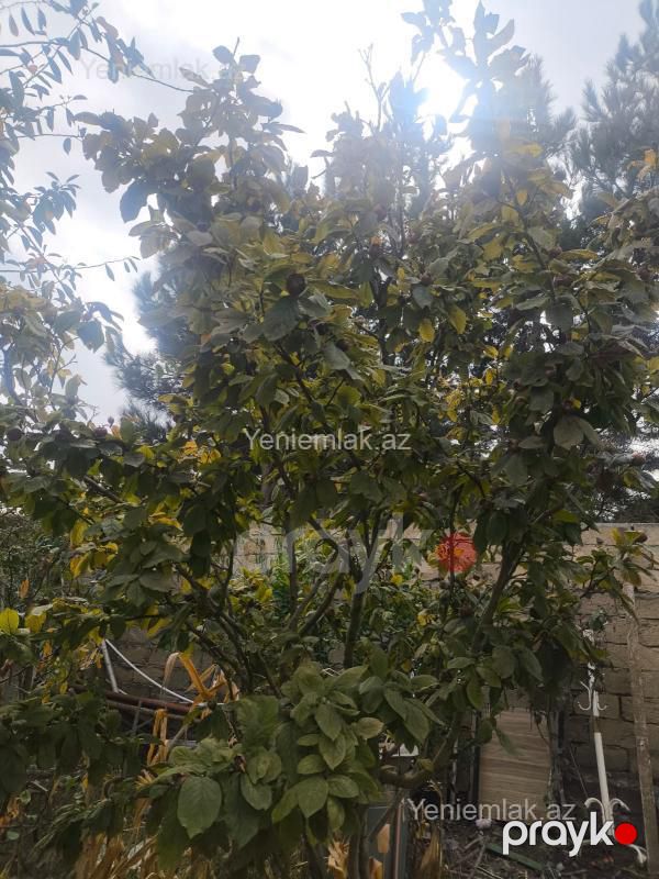 Satılır 6 otaqlı Həyət evi / Villa, 225 m², Yeni Baki — Ev, villa, Abşeron (12)