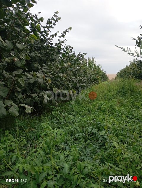 100 sot torpaq sahəsi, Qusar r — Qusar