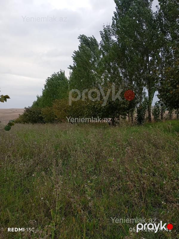 Satılır Torpaq sahəsi, 100 sot, Qusar — Torpaq, Qusar (2)