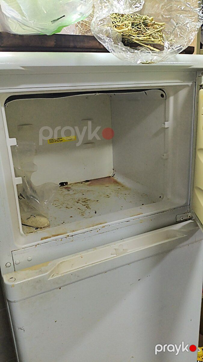 Beko soyuducusu — Ev texnikası, Bakı (4)