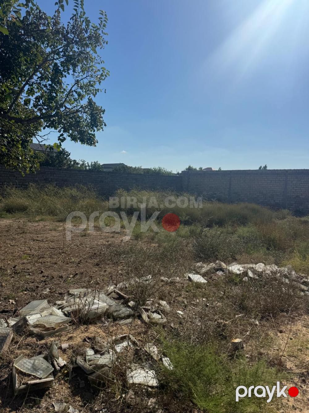 Bilgəhdə torpaq satılır — Torpaq (9)
