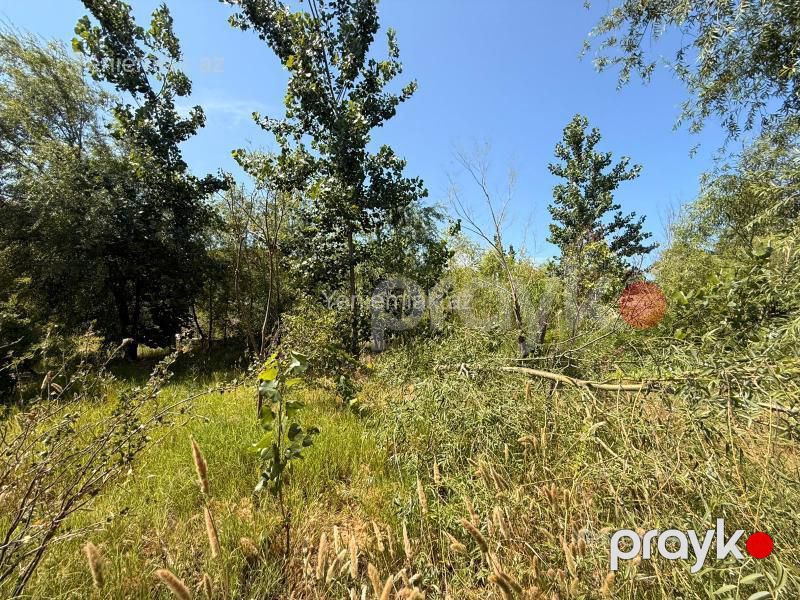 Satılır Torpaq sahəsi, 20 sot, Xəzər rayonu — Torpaq, Bakı (3)