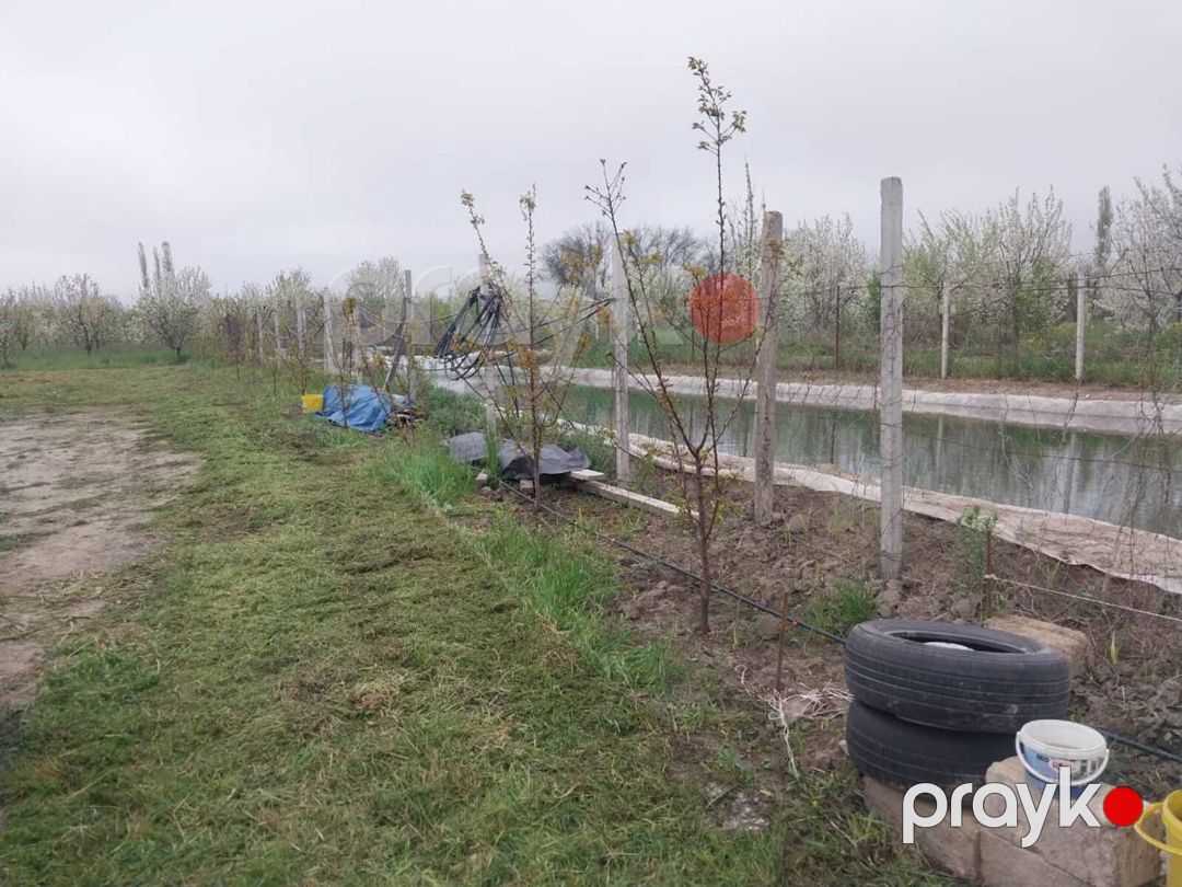 220 sot torpaq sahəsi, Xaçmaz r — Torpaq, Xaçmaz (12)