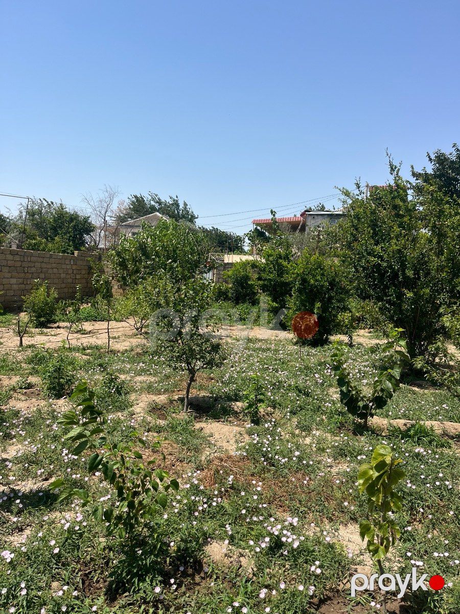 10 sot torpaq sahəsi, Qurd dərəsi — Torpaq, Sumqayıt (4)