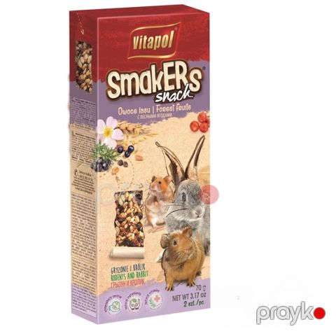 Çubuqlar Vitapol Smakers Forest Fruit 1110, gəmirici üçün, 90 q — Bakı