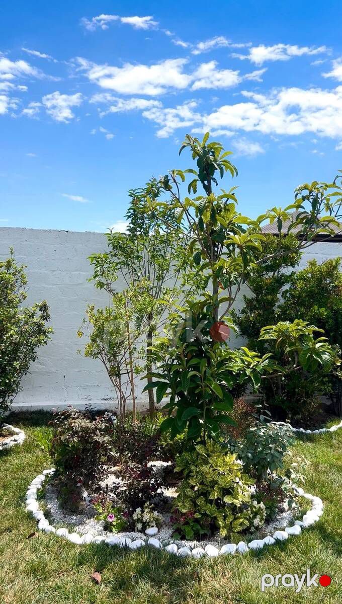 Satılır 3 otaqlı həyət evi/bağ evi 120 m² — Ev, villa, Bakı (6)