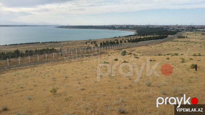Abşeron rayonunda Torpaq Satılır, 973 sot — Torpaq, Bakı (3)