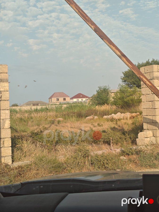 Torpaq sahəsi, 6 sot, Bağ təyinatlı, Müqaviləli, Nardaran kəndi, Nardaran pirinin yaxinliginda, Bakı — Torpaq (5)