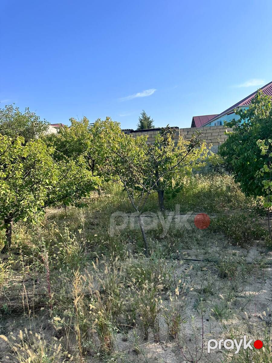 4 sot torpaq sahəsi, Novxanı bağları — Torpaq, Bakı (10)