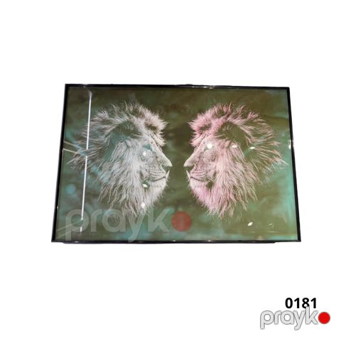 Şüşə tablo “Şir” OK 031, 80×120 sm