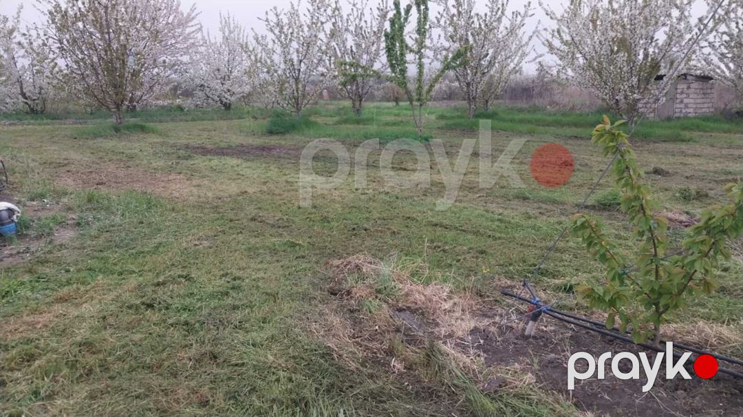 220 sot torpaq sahəsi, Xaçmaz r — Torpaq, Xaçmaz (6)