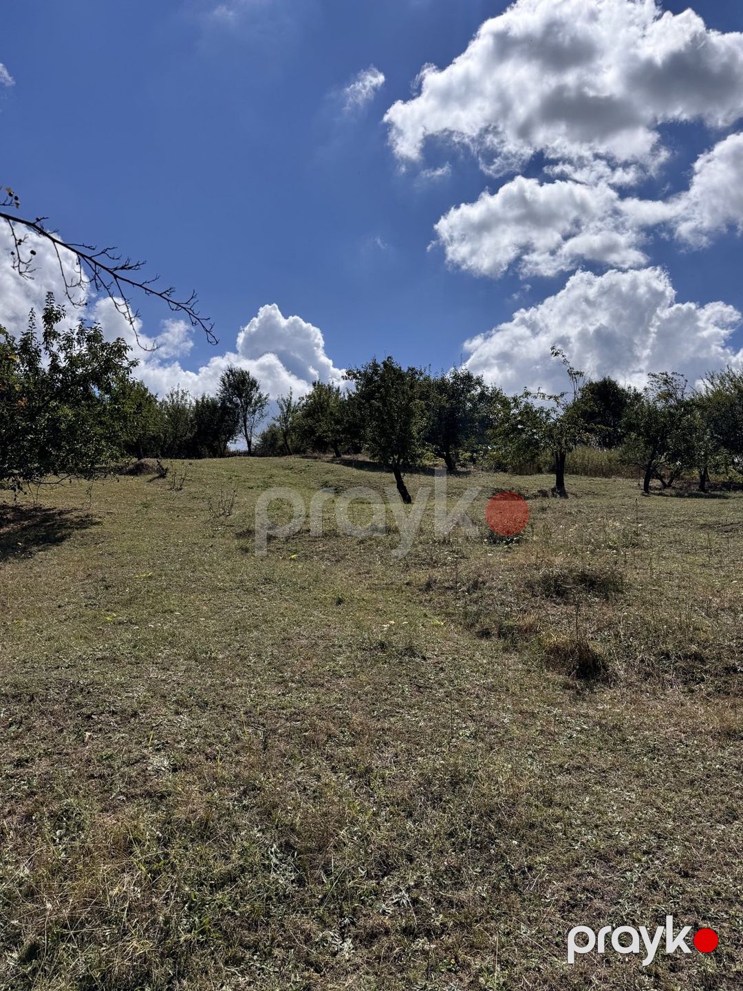 Satılır torpaq 27 sot — Torpaq, İsmayıllı (2)