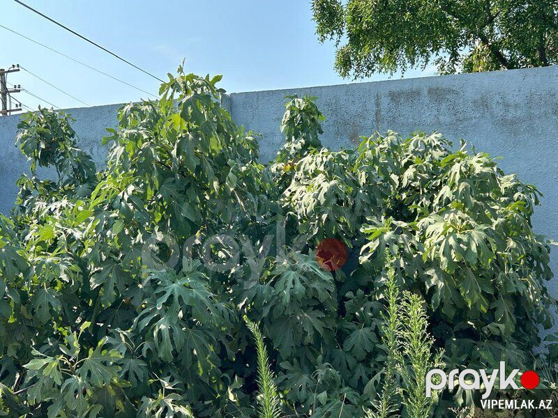 Sabunçu rayonunda Torpaq Satılır, 4 sot — Torpaq, Bakı (5)