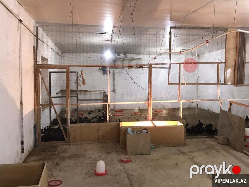 Abşeron rayonunda Torpaq Satılır, 15000 sot — Torpaq, Bakı (5)
