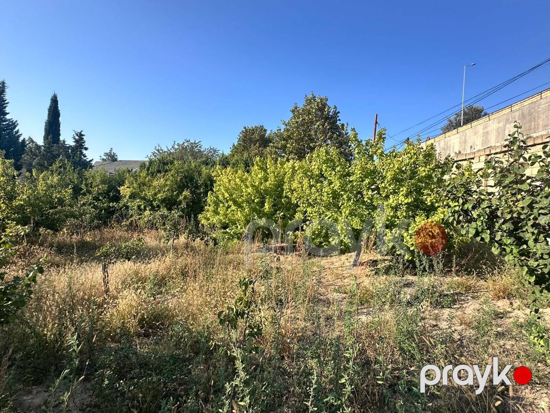 3 sot torpaq sahəsi, Novxanı qəs — Torpaq, Bakı (11)