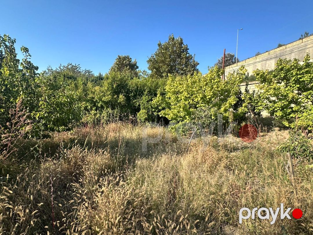 4 sot torpaq sahəsi, Novxanı bağları — Torpaq, Bakı (2)