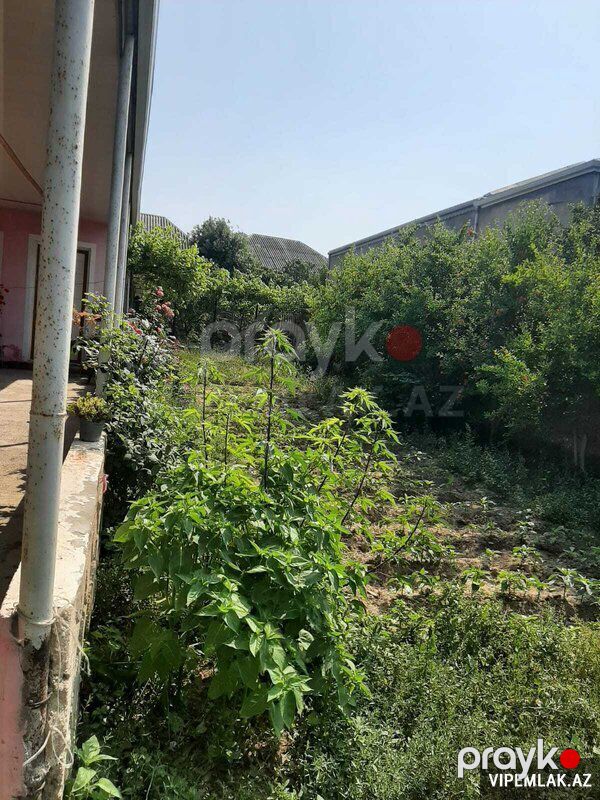 Suraxanı rayonunda 1 otaqlı Torpaq Satılır, 4 sot — Torpaq, Bakı (4)