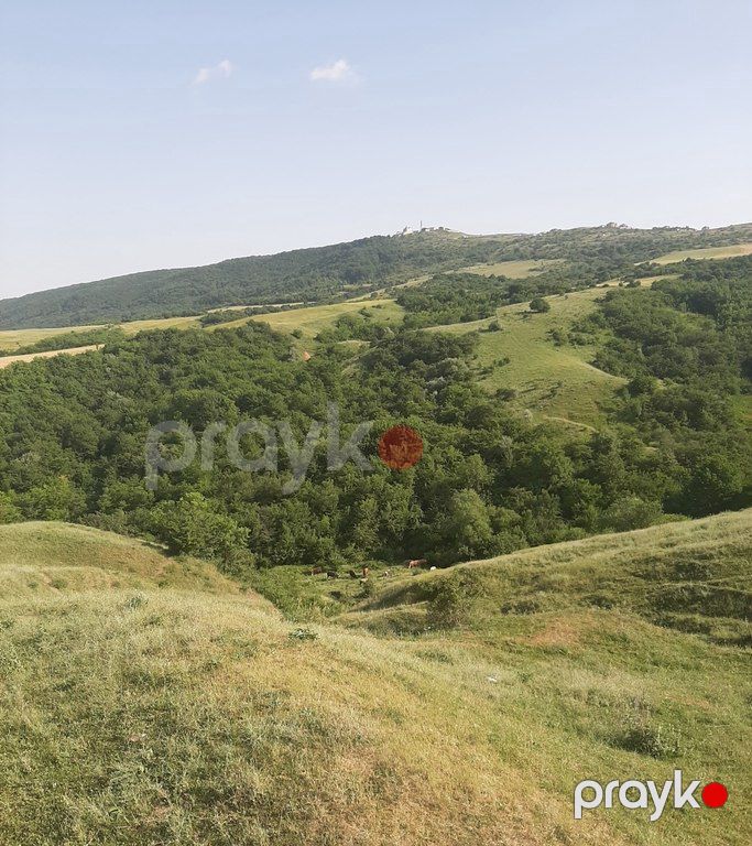 1100 sot torpaq sahəsi, Şamaxı ş — Torpaq, Şamaxı (7)