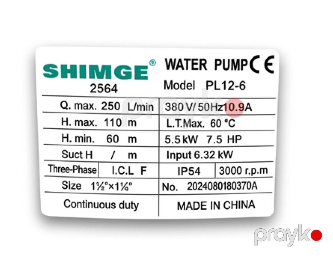 Su nasosu Shimge PL12-6 — Mallar, Bakı (3)