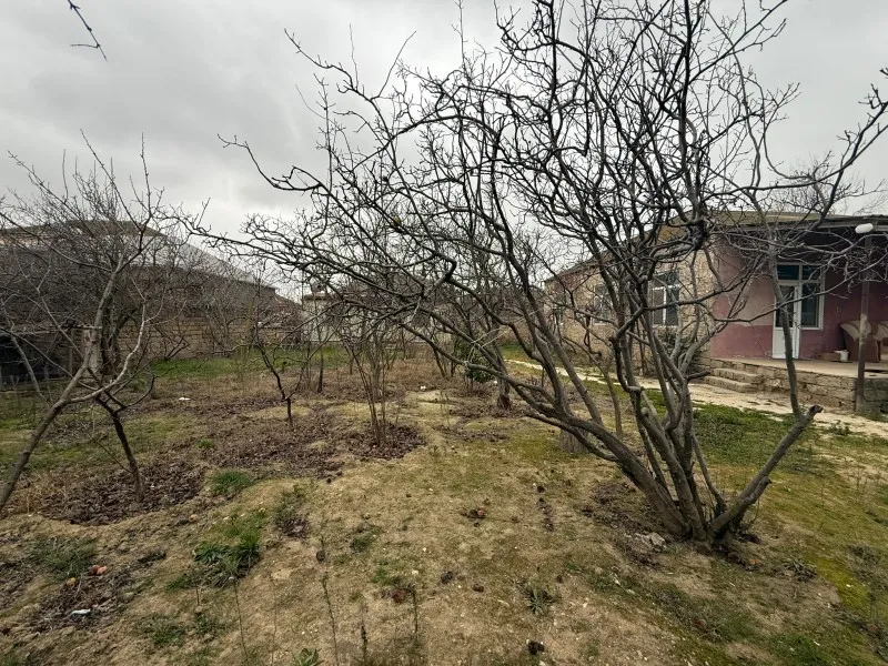 Mərdəkan, Torpaq satılır - 9 sot — Bakı