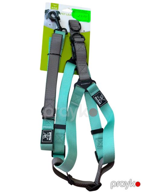 Qayış itlər üçün Nunbell 2548078, mavi — Bakı