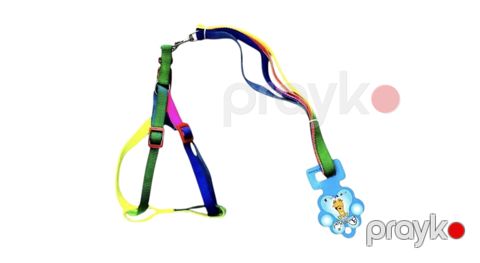 İtlər və pişiklər üçün xaltalar, qayışlar və boyunluq 3028, it üçün, dəst/şleyka, parça, plastik/metal — Bakı