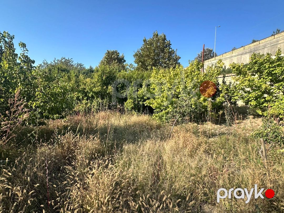 3 sot torpaq sahəsi, Novxanı qəs — Torpaq, Bakı (6)