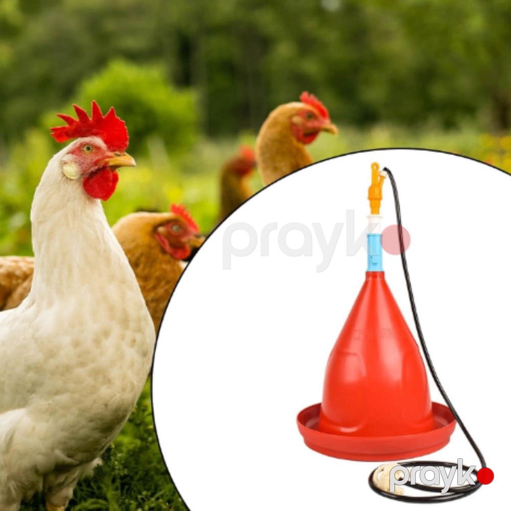 Quşlar üçün avtomatik asma su təknəsi plastik, qırmızı/sarı/qaranlıq şlanq — Mallar, Bakı (3)
