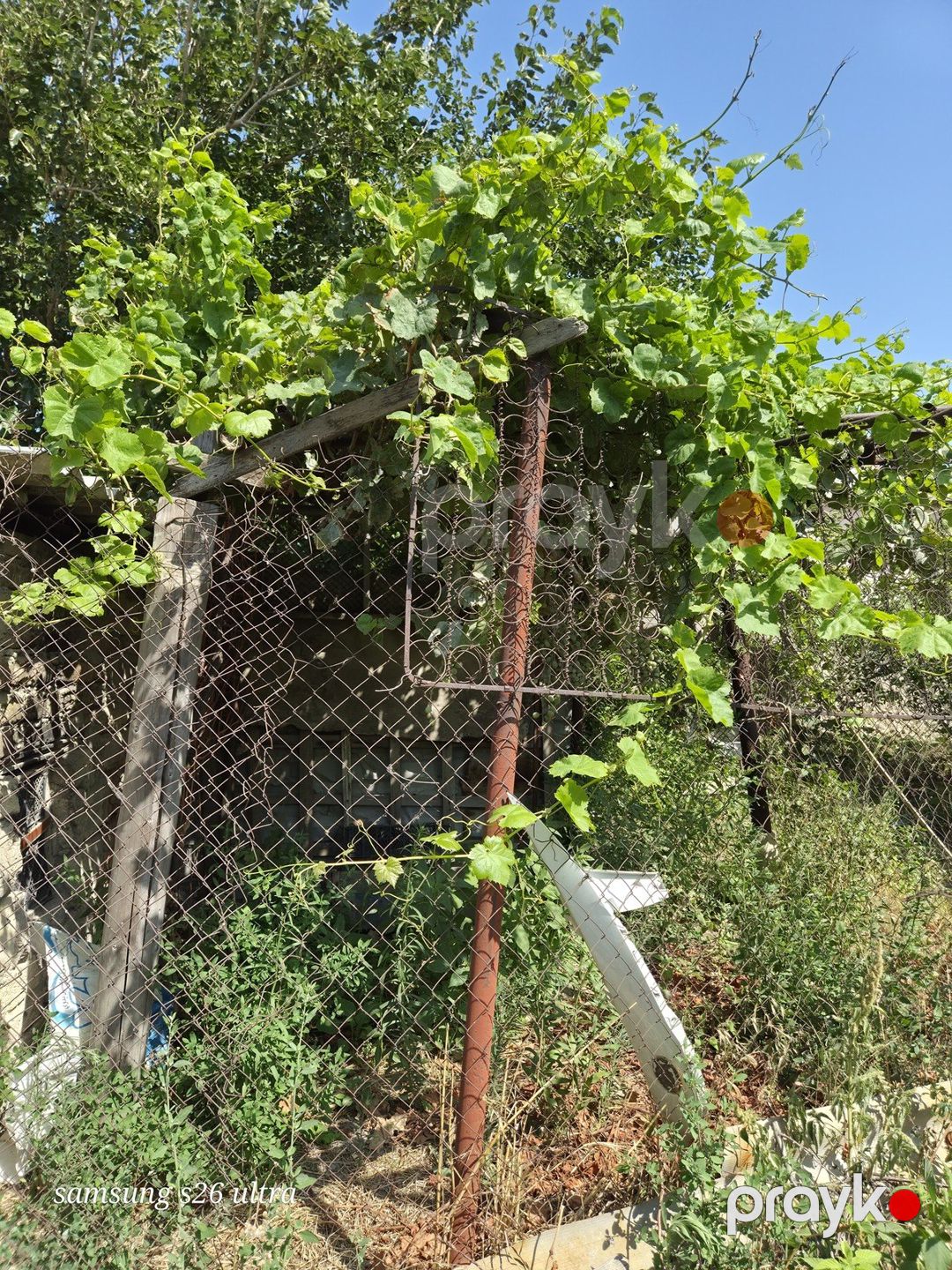 Satılır torpaq 4.5 sot — Torpaq, Sumqayıt (3)